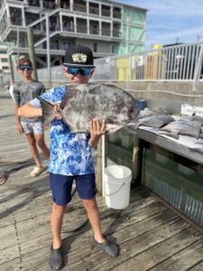 spade fish