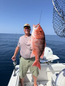 snapper